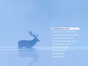 FirPE装机维护系统U盘启动工具-简约PE维护系统 v2.0.3-古德网络